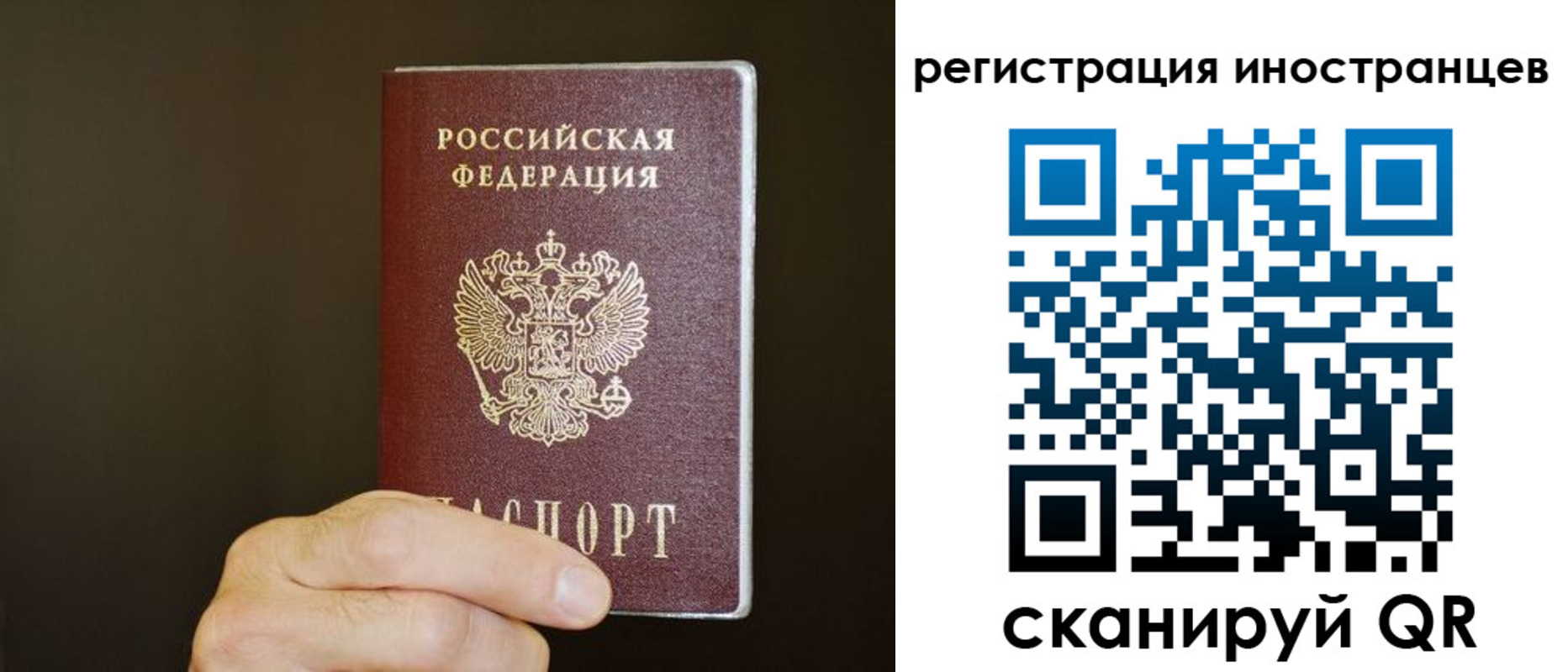 прописка в Павловском Посаде